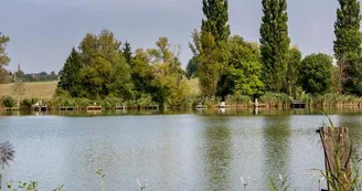 Etang de Farschviller