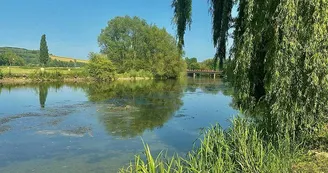 Aire de Pique-nique