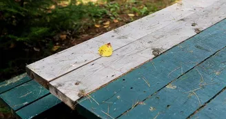 Aire de pique-nique de Condé-Northen