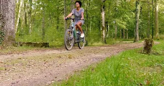 Forêt parc Forêt parc