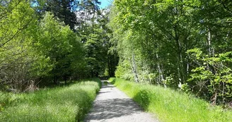Forêt domaniale de la Grande Saule