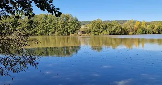 Étang des Bercettes