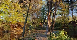 Étang de la Ballastière