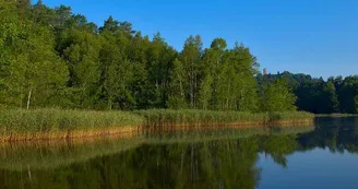 L'étang de Hanau