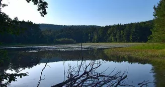 Étang de Waldeck - réserve naturelle