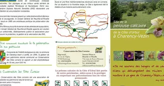 Cote d'Urbul - pelouse calcaire de Charency Vezin