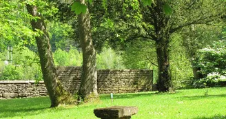 Les arbres fabuleux