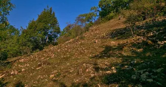 Réserve naturelle de hammelsberg