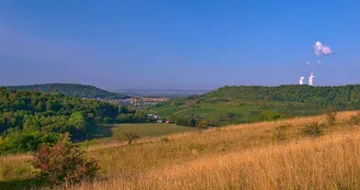 Réserve naturelle de hammelsberg
