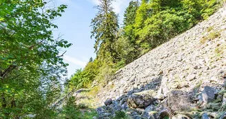 La réserve biologique intégrale du Kertoff