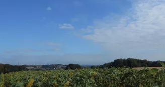 Aire de pique-nique de Longeville-lès-Saint-Avold
