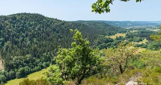 Le point de vue de Giropaire