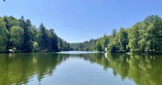 Commune de Bitche