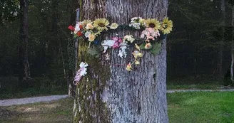 Le Chêne de la Vierge Le Chêne de la Vierge