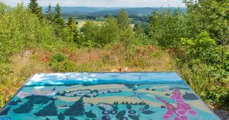 La cheminée géodésique du Spiémont