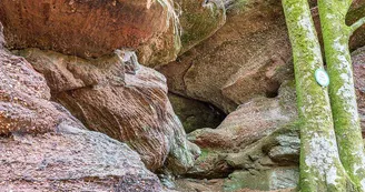 Grotte de Danne