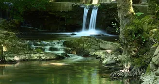 Affleurement de quartzites de Sierck-les-Bains