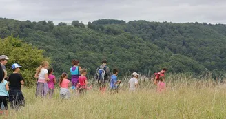 Le plateau d'Algrange