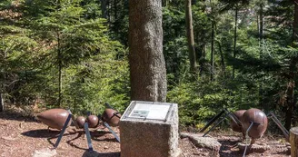 La Montagne des Fourmis Géantes La Montagne des Fourmis Géantes