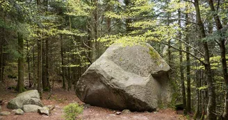 La boule du diable