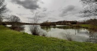Etang de Trainou - Tourisme Loiret MPaleau 17.03.2022 Etang de Trainou - Tourisme Loiret MPaleau 17.03.2022