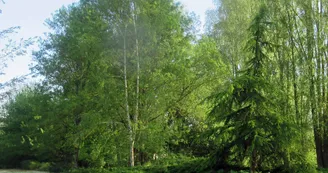 PARC 2
