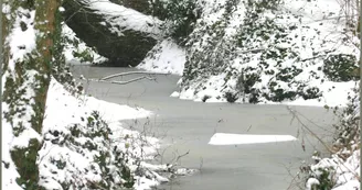PARC EN HIVER