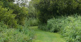 Sentier