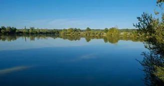 Étang de La Foulquetière