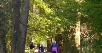 OT Montargis Vélos
