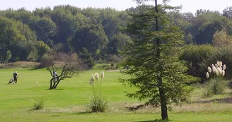 Golfpicardiere