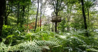 Wood-Parc