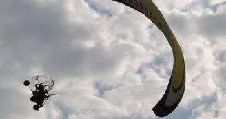 Les Ailes d'Horus