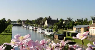 Canal Belleville Fleurs Canal Belleville Fleurs