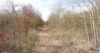 L'espace naturel sensible de la Pelouse de Grand Vau