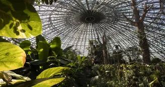 dome_interieur_01
