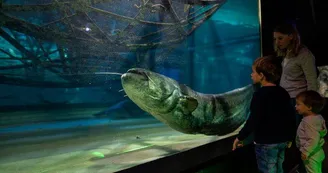 Aquarium de Touraine