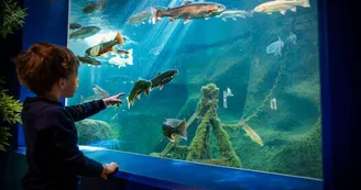 Aquarium de Touraine