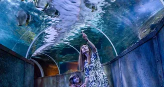 Aquarium_Touraine