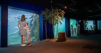 Aquarium de Touraine