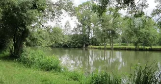 Les prairies de l'Arnon - L'Arnon