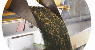 ete-2