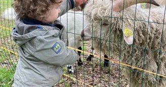 Les Minis Pattes