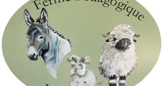 Les Minis Pattes