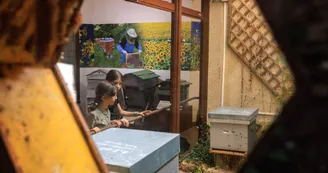 La-Maison-des-Abeilles-2-Nicolas-Barbarin-Atelier-Castanea