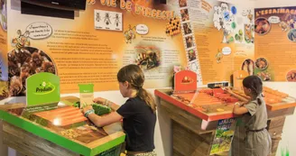 La-Maison-des-Abeilles-2-Nicolas-Barbarin-Atelier-Castanea