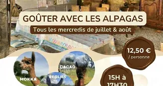 Accueil
