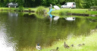 Saint Foy - Etang - Canard - Pêche - Nature