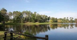 Saint Foy - Etang -  Nature (4)