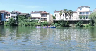 DSCN8687